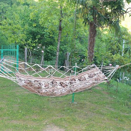 Villa Tengiz Chakvistavi Kültér fotó