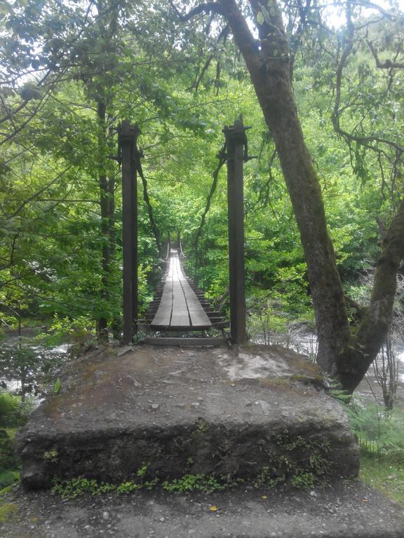 Villa Tengiz Chakvistavi Kültér fotó